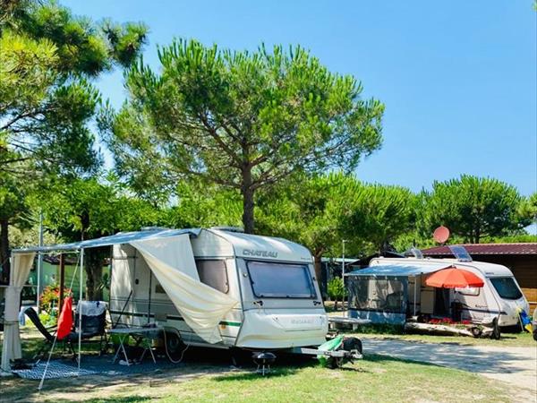 Camping Pineta - foto 55929.jpg