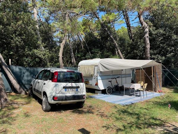 Camping Pineta - foto 55936.jpg