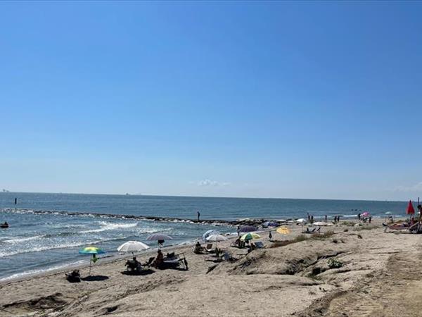 Camping Pineta - foto 55937.jpg