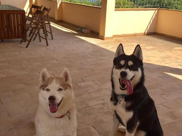 Casale SantEgidio - foto 55948.jpg