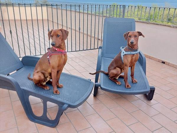 Casale SantEgidio - foto 55954.jpg