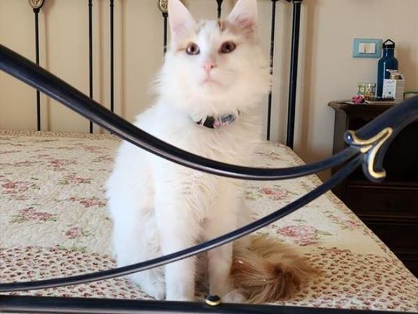 Casale SantEgidio - foto 55971.jpg