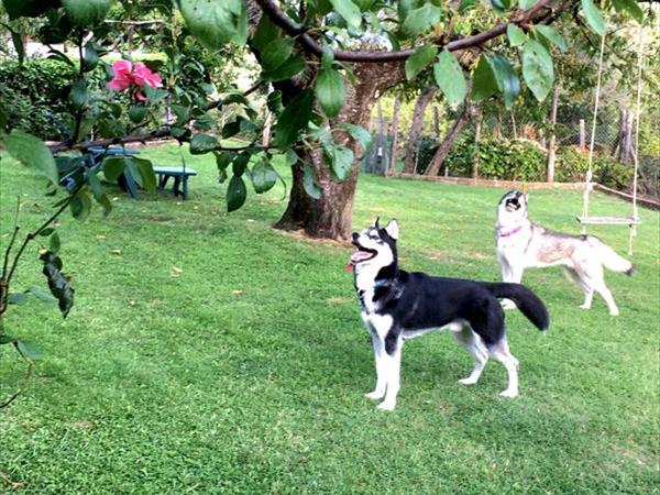 Casale SantEgidio - foto 55974.jpg