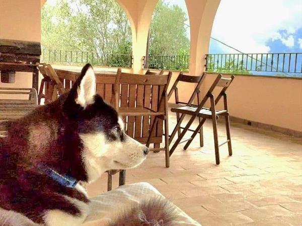 Casale SantEgidio - foto 55976.jpg