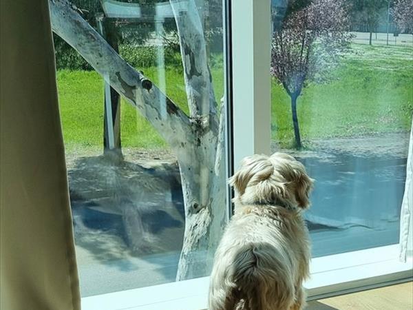 Otium - foto 55978.jpg