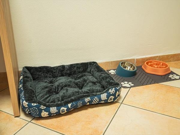 Hotel Aldebaran - foto 55990.jpg