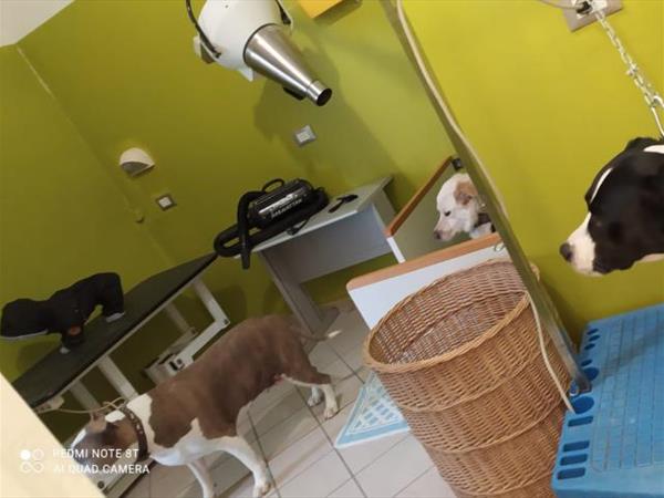 Hotel Kristalex - foto 56003.jpg