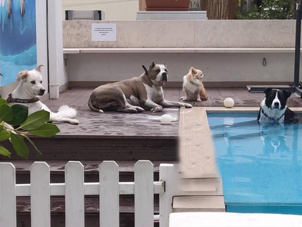 Hotel Kristalex - foto 56004.jpg