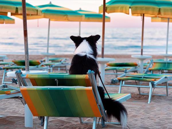  Residence Le Orchidee - foto 56025.jpg