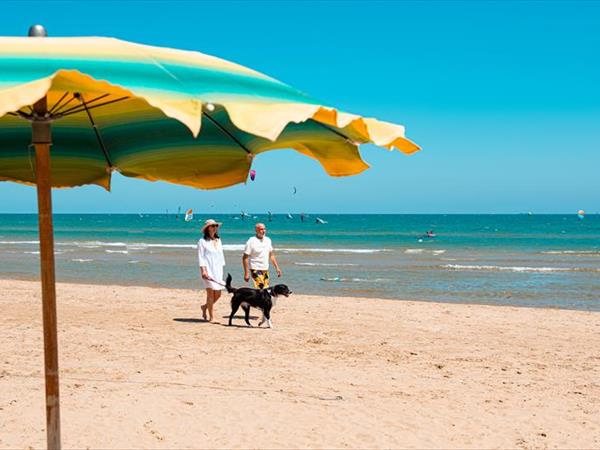  Residence Le Orchidee - foto 56028.jpg