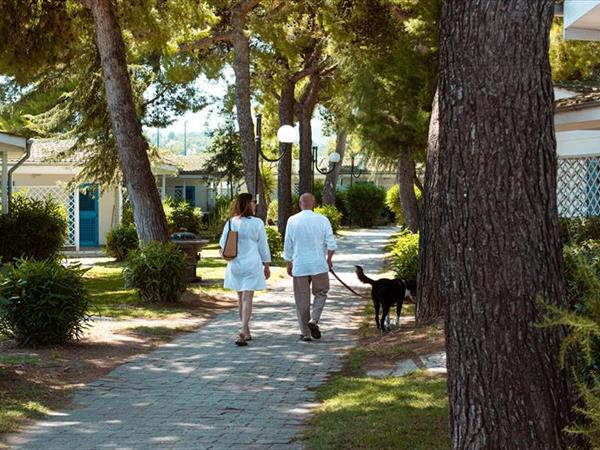  Residence Le Orchidee - foto 56029.jpg