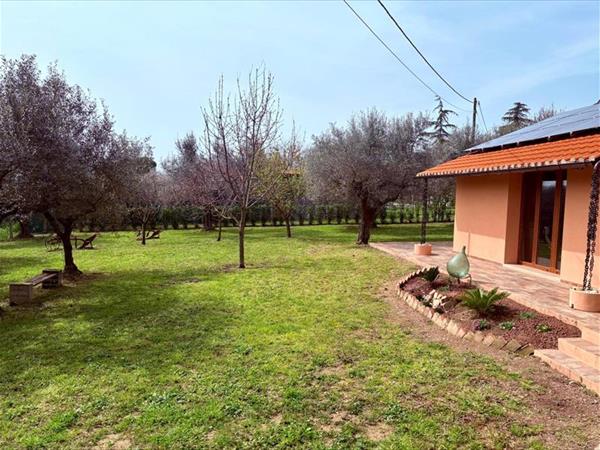 La stalla di nonno Zopito - foto 56052.jpg