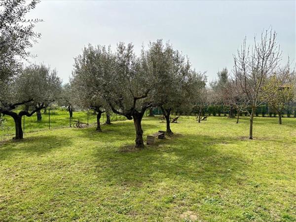 La stalla di nonno Zopito - foto 56053.jpg