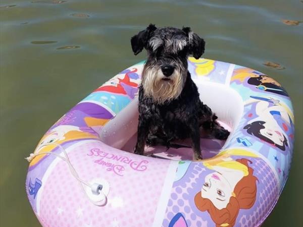 Bau Miao Beach - Lido Sabbia dOro - foto 56090.jpg