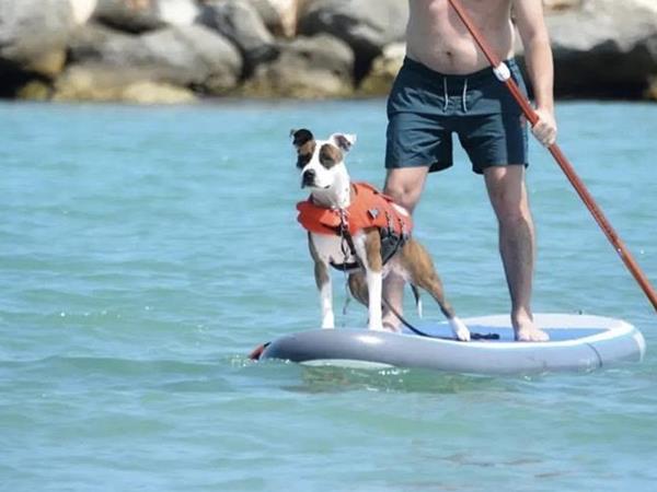 Bau Miao Beach - Lido Sabbia dOro - foto 56091.jpg