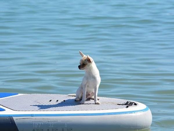 Bau Miao Beach - Lido Sabbia dOro - foto 56095.jpg
