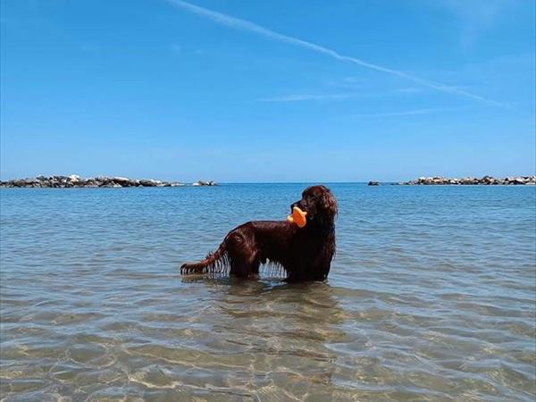 Bau Miao Beach - Lido Sabbia dOro - foto 56096.jpg