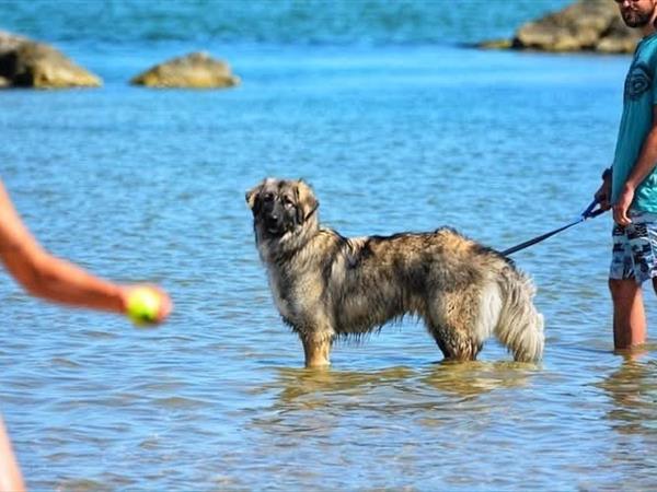 Bau Miao Beach - Lido Sabbia dOro - foto 56098.jpg