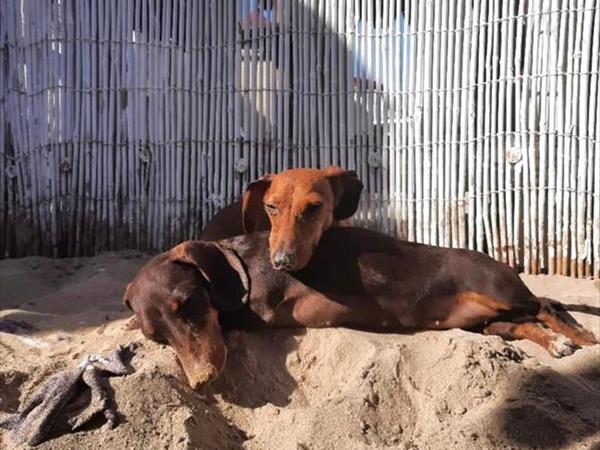 Bau Miao Beach - Lido Sabbia dOro - foto 56100.jpg
