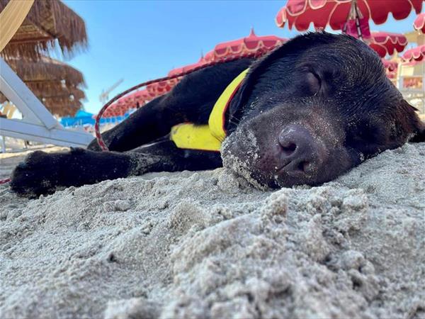 Bau Miao Beach - Lido Sabbia dOro - foto 56102.jpg