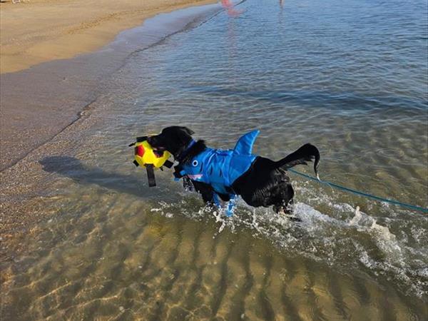 Bau Miao Beach - Lido Sabbia dOro - foto 56103.jpg