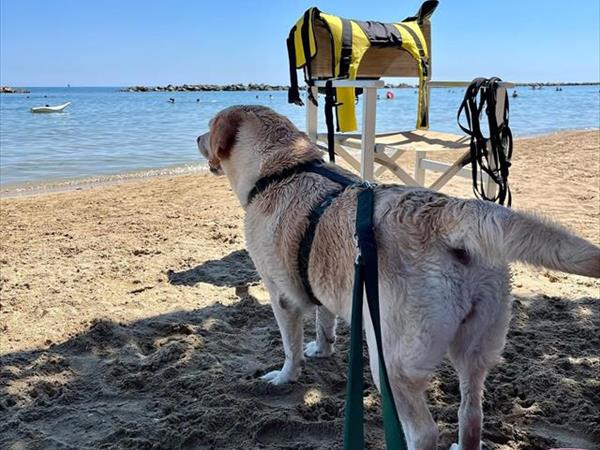 Bau Miao Beach - Lido Sabbia dOro - foto 56104.jpg