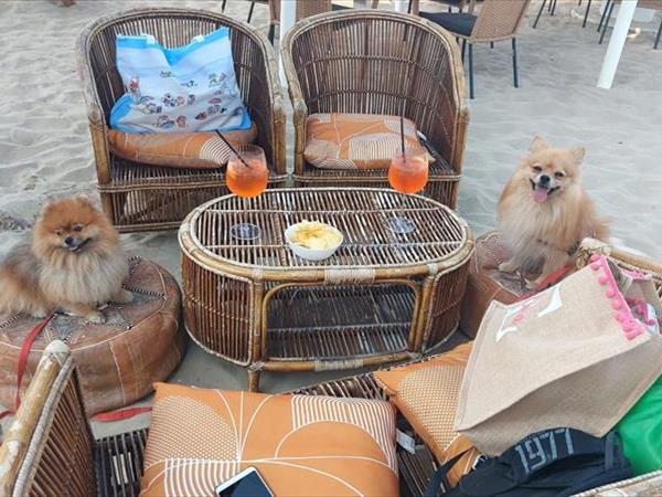 Bau Miao Beach - Lido Sabbia dOro - foto 56105.jpg