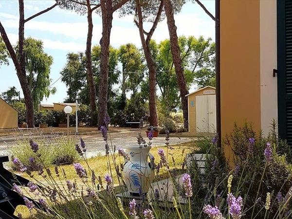 Vignarca Golfo di Follonica - foto 56115.jpg