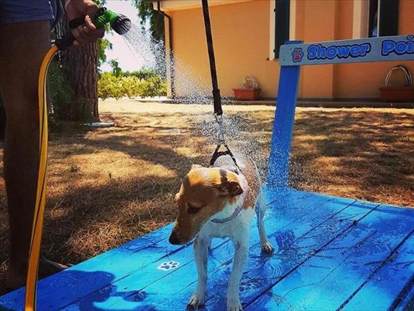 Vignarca Golfo di Follonica - foto 56116.jpg