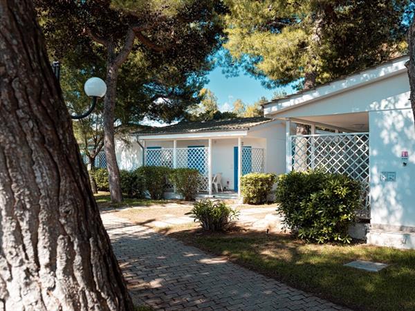  Residence Le Orchidee - foto 56138.jpg