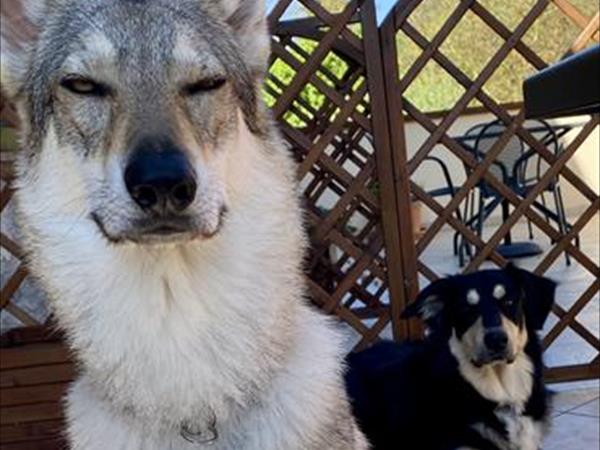 Agriturismo Domus Santa Croce - foto 56148.jpg