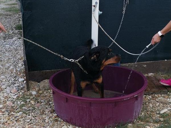 Baia dei Gabbiani - foto 56164.jpg