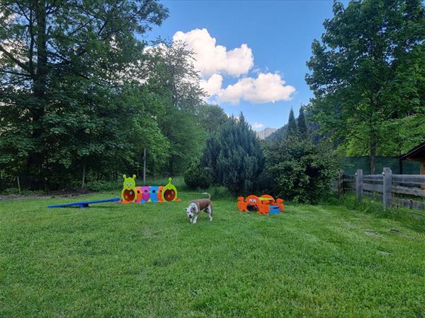 Appartamenti Parco Adamello - foto 56199.jpg