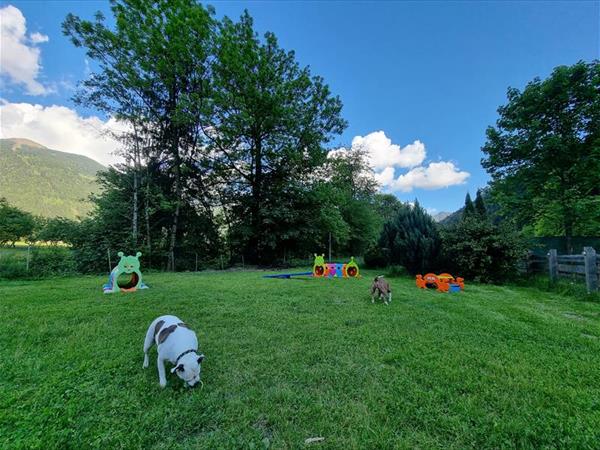 Appartamenti Parco Adamello - foto 56200.jpg