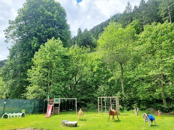 Appartamenti Parco Adamello - foto 56202.jpg