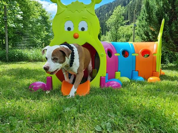 Appartamenti Parco Adamello - foto 56214.jpg