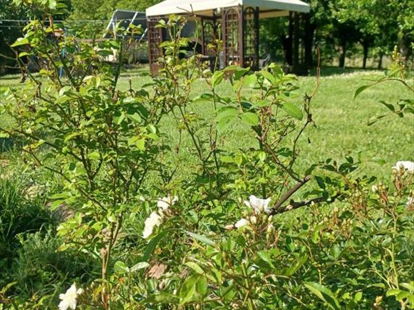 Agriturismo Domus Santa Croce - foto 56220.jpg