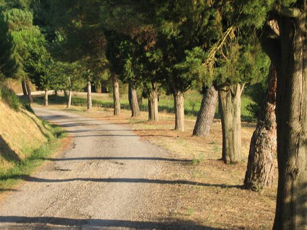 Fattoria del Cerretino - foto 56242.jpg