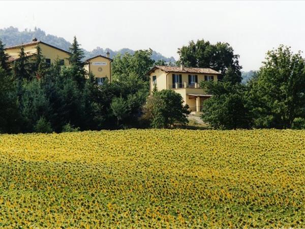 Fattoria del Cerretino - foto 56244.jpg