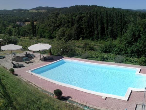 Fattoria del Cerretino - foto 56251.jpg