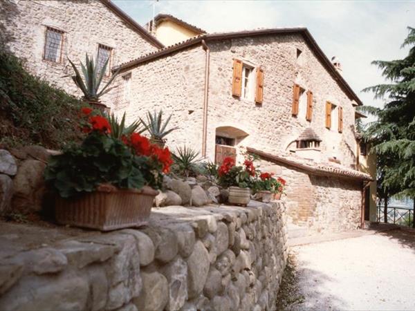 Fattoria del Cerretino - foto 56257.jpg