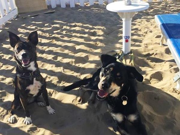 Bagno 85b Gibo  - foto 56324.jpg