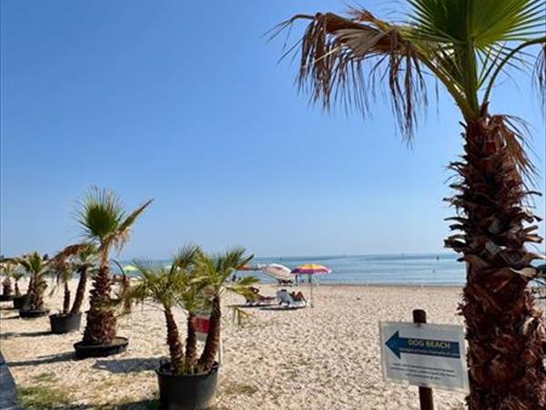 Baia dei Gabbiani - foto 56330.jpg