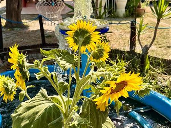 Baia dei Gabbiani - foto 56331.jpg