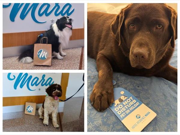 Hotel Residence Mara - foto 56350.jpg