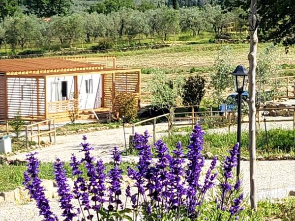 VioVillas Glamping Arezzo - foto 56353.jpg