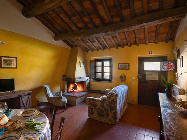 Agriturismo Selvoli - foto 56397.jpg