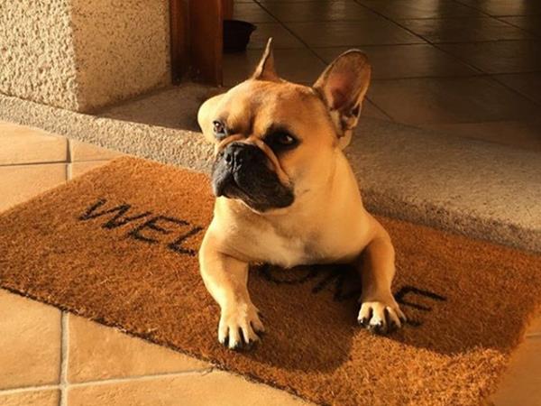 Resort Le Saline Palau - foto 56420.jpg