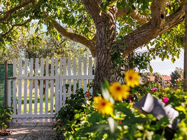 La Villetta di Nonna Pia - foto 56453.jpg