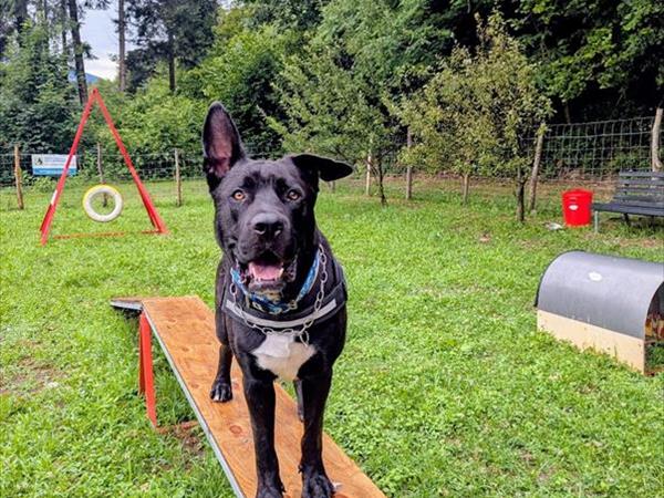 Casa Bernardi - foto 56473.jpg